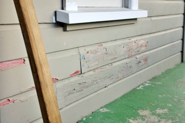 Best Residential Vinyl Siding Installation  in Platteville, WI